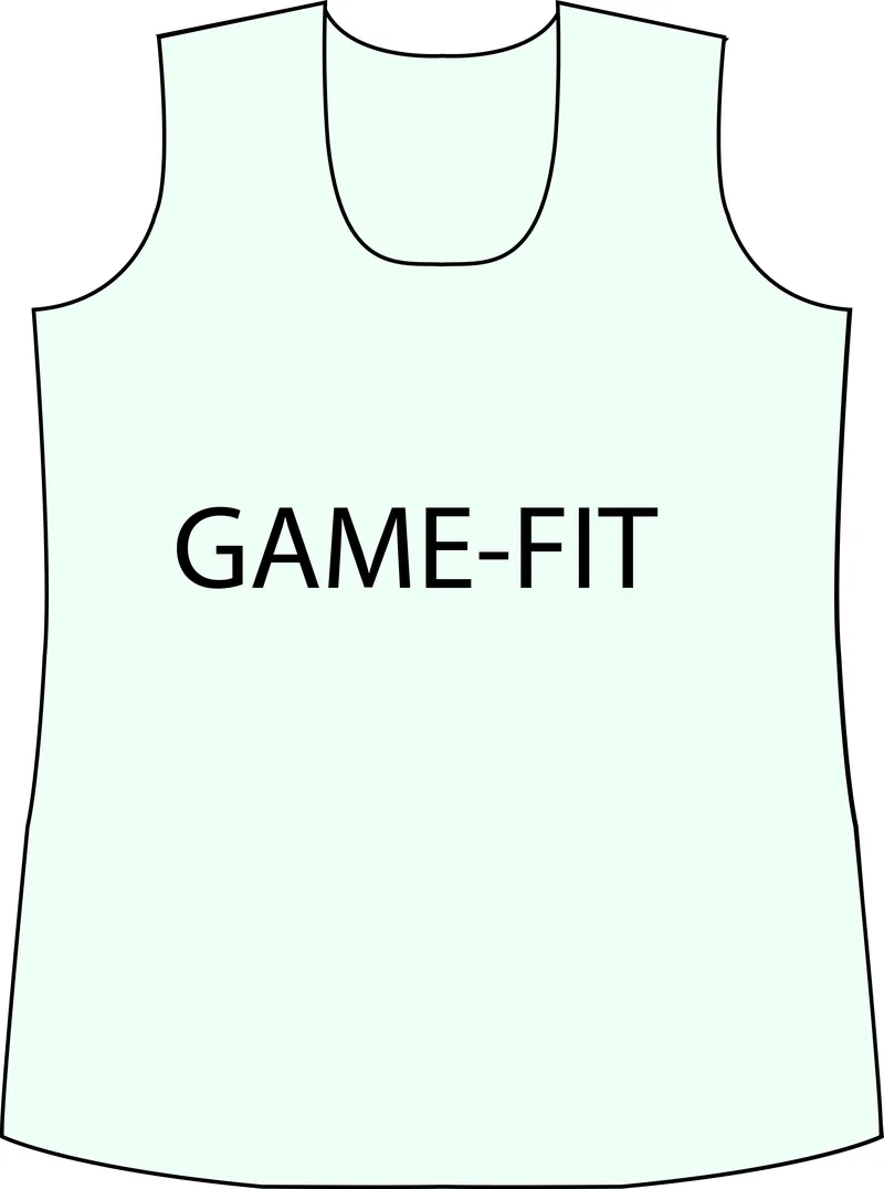 Game Fit